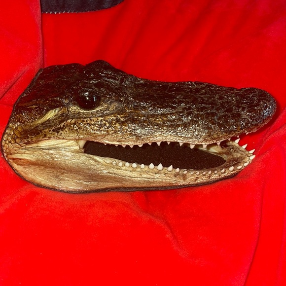 VEGAN alligator art crocodile art gator head art piece not real faux leather - Picture 1 of 4